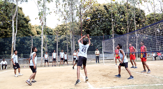 small-sports3