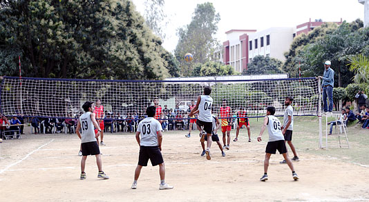 small-sports3